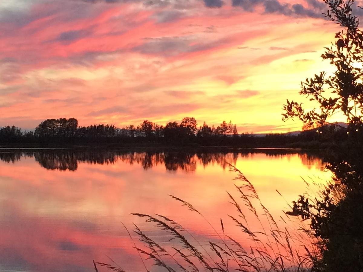 Reflection Lake Bed And Breakfast Anchorage Bagian luar foto