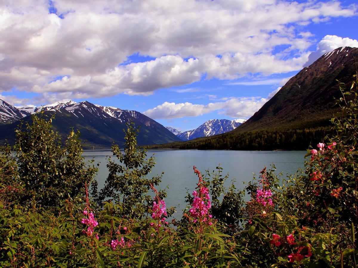 Reflection Lake Bed And Breakfast Anchorage Bagian luar foto